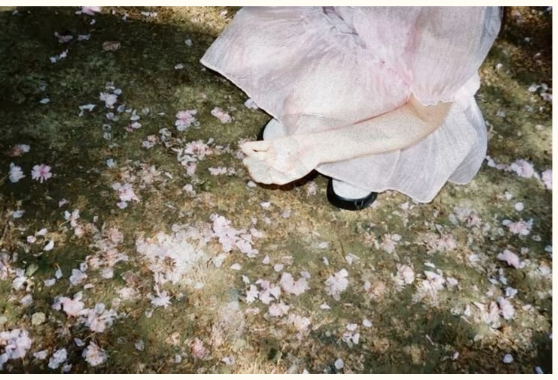 Dress and flowers scattered on the ground